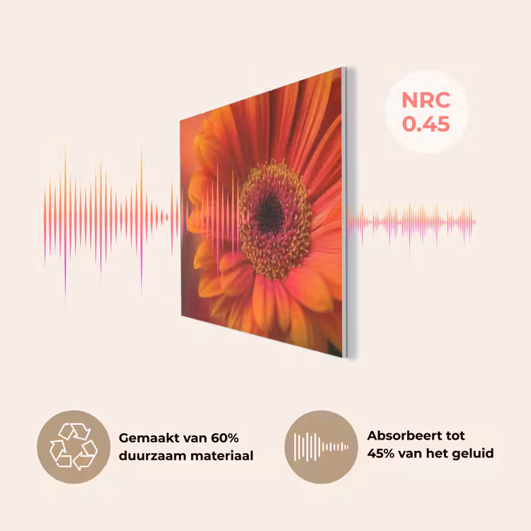 Oranje - Gerbera - Intens PET vilt klein -USP_NL
