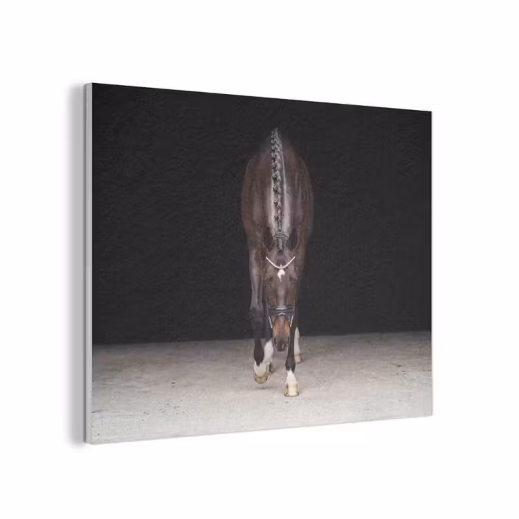 Paard - Modern - Portret PET vilt klein -3d