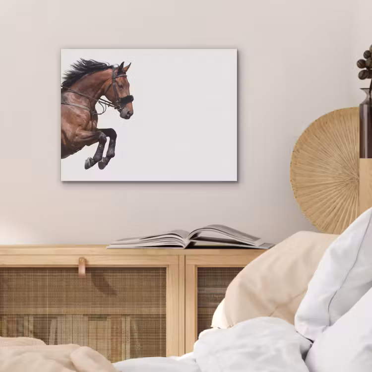 Paard - Springen - Modern PET vilt klein -sfeer3