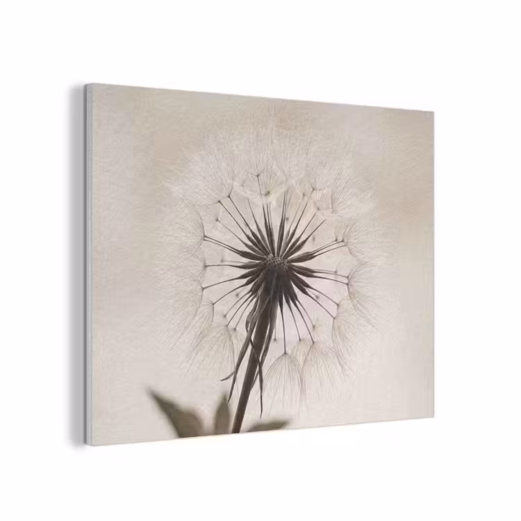 Paardenbloem - Minimalistisch - Wit PET vilt klein -3d
