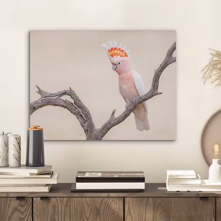 Papagaai - Tak - Roze PET vilt klein -sfeer1