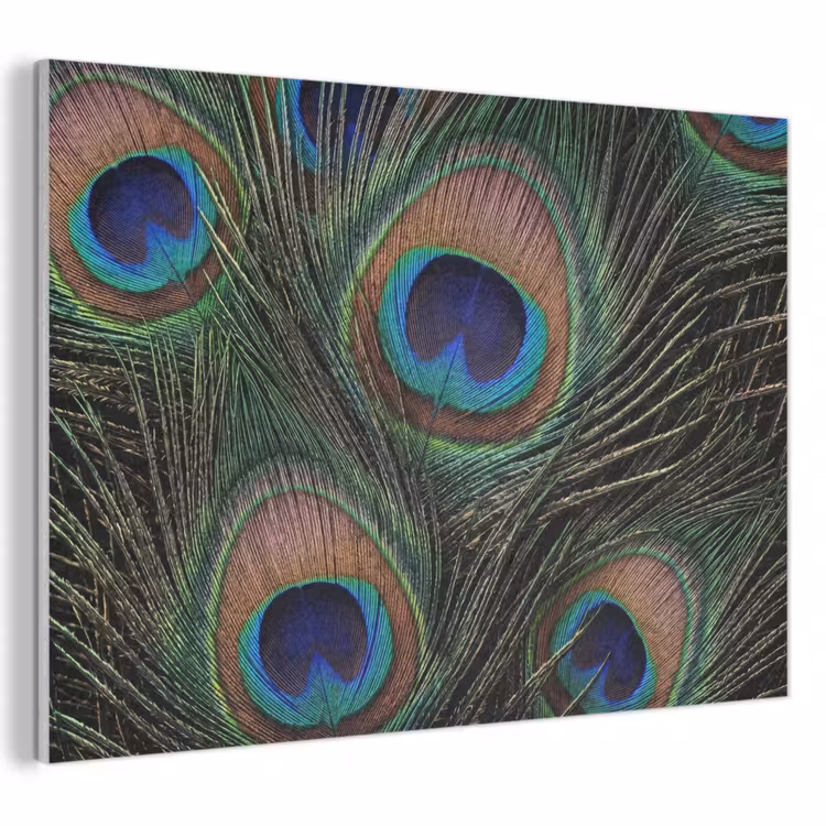 Pauwenveren - Klassiek - Groen PET vilt klein -3d