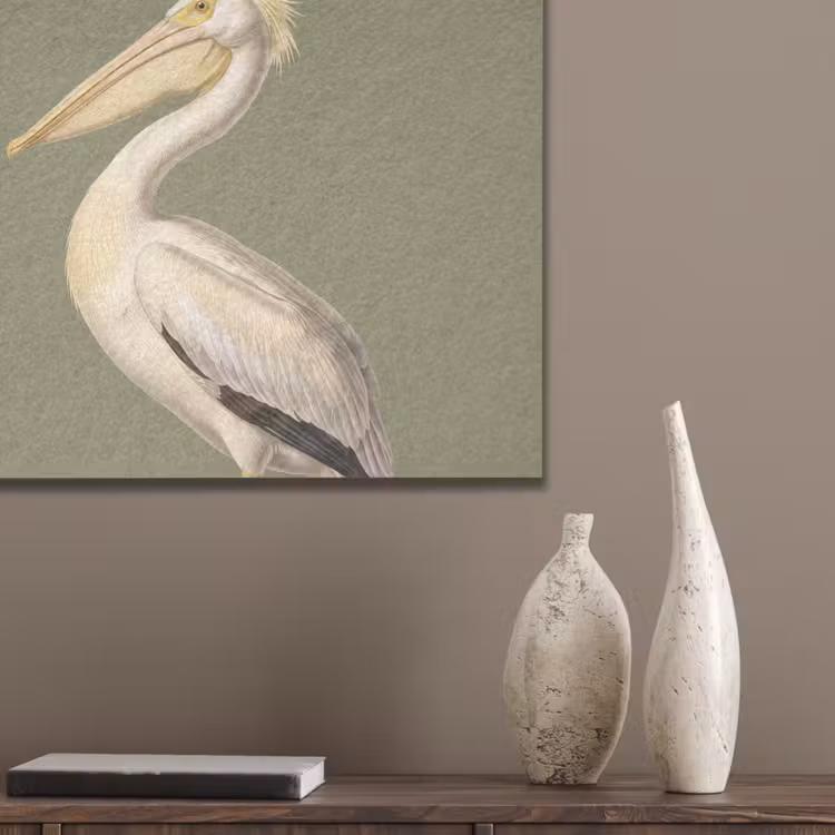 Pelikaan - Wit - Vogel - Klassiek - Natuur PET vilt klein -sfeer6_closeup