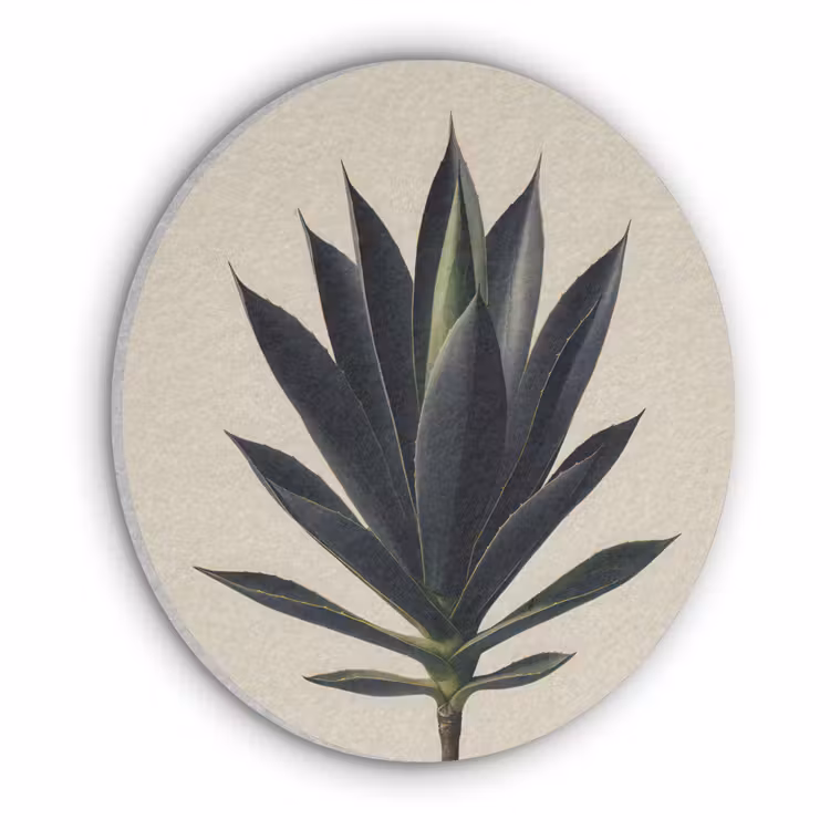 Agaveplant - Symmetrisch - Groen Akoestische PET Vilt - Rond klein -3d