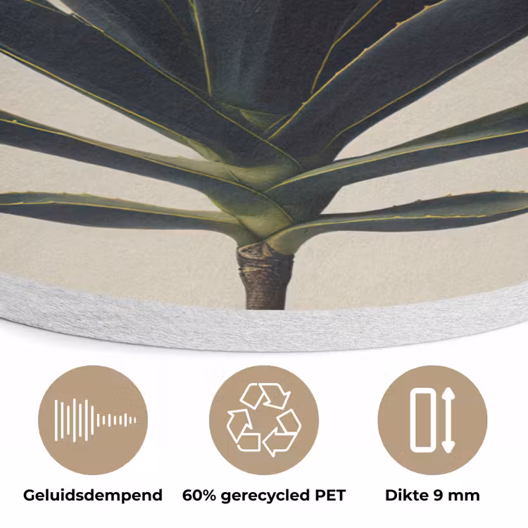 Agaveplant - Symmetrisch - Groen Akoestische PET Vilt - Rond klein -closeup_NL