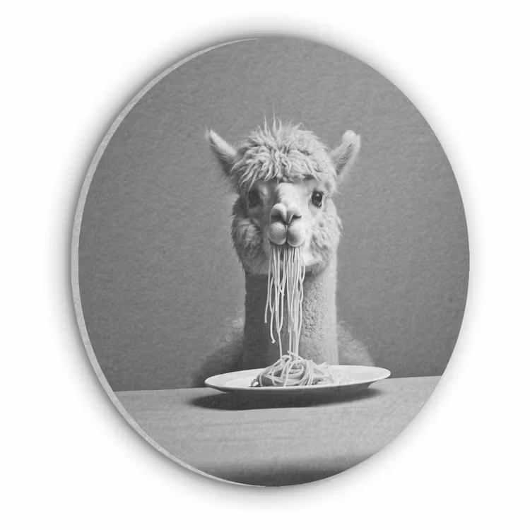 Alpaca - Pasta - Zwart - Wit - Grappig - Dieren Akoestische PET Vilt - Rond klein -3d