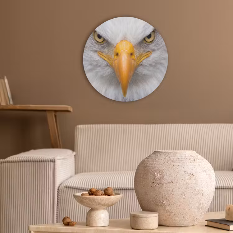 Amerikaans - Zeearend - Portret - Geel Akoestische PET Vilt - Rond klein -sfeer1