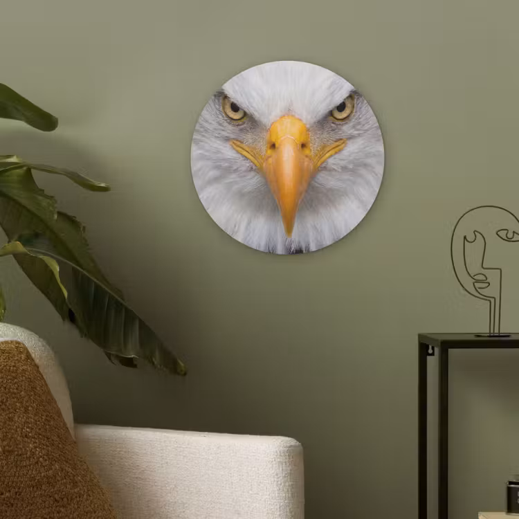 Amerikaans - Zeearend - Portret - Geel Akoestische PET Vilt - Rond klein -sfeer2
