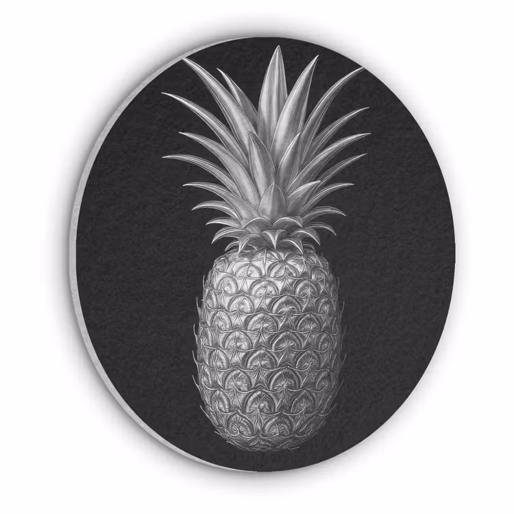 Ananas - Gedetailleerd - Bladeren Akoestische PET Vilt - Rond klein -3d