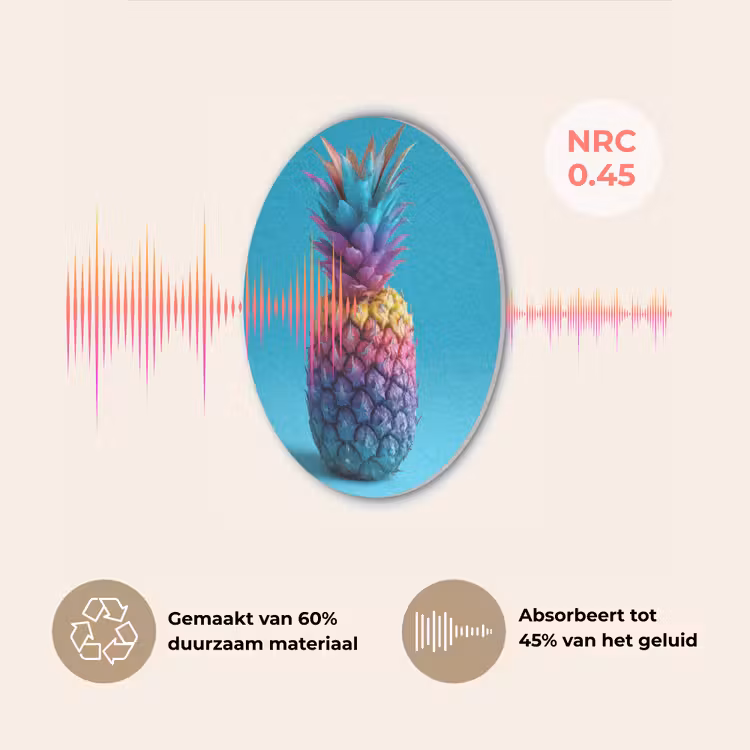 Ananas - Regenboog - Blauw - Popart Akoestische PET Vilt - Rond klein -USP_NL