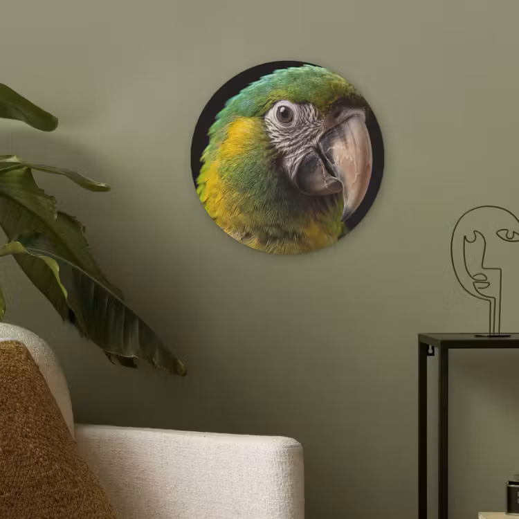 Ara - Portret - Groen Akoestische PET Vilt - Rond klein -sfeer2