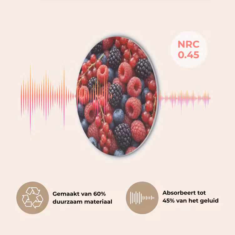 Bessen - Mix - Vers - Eten - Kleurrijk Akoestische PET Vilt - Rond klein -USP_NL