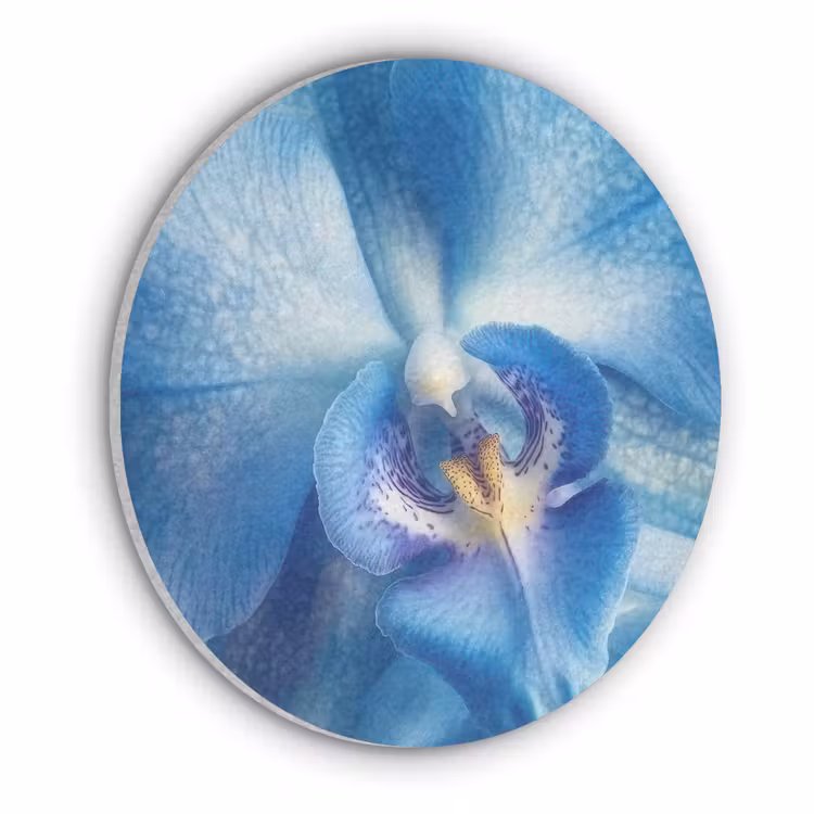 Blauw - Orchidee - Elegeant Akoestische PET Vilt - Rond klein -3d