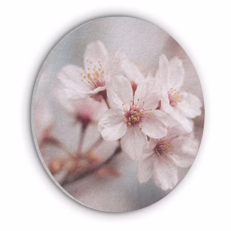 Bloesems - Meeldraden - Geel - Wazig Akoestische PET Vilt - Rond klein -3d