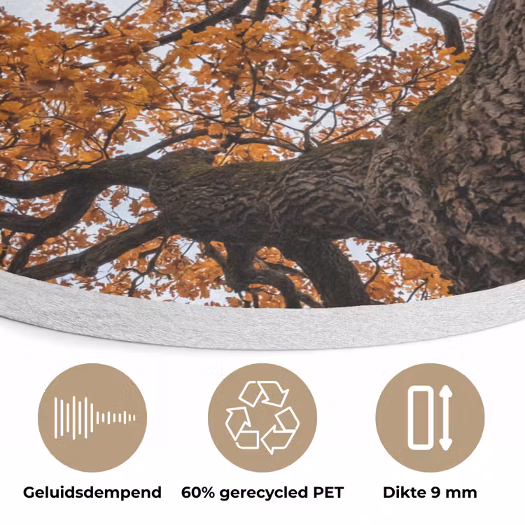 Boom - Bladerdak - Herfst - Oranje - Sfeervol Akoestische PET Vilt - Rond klein -closeup_NL