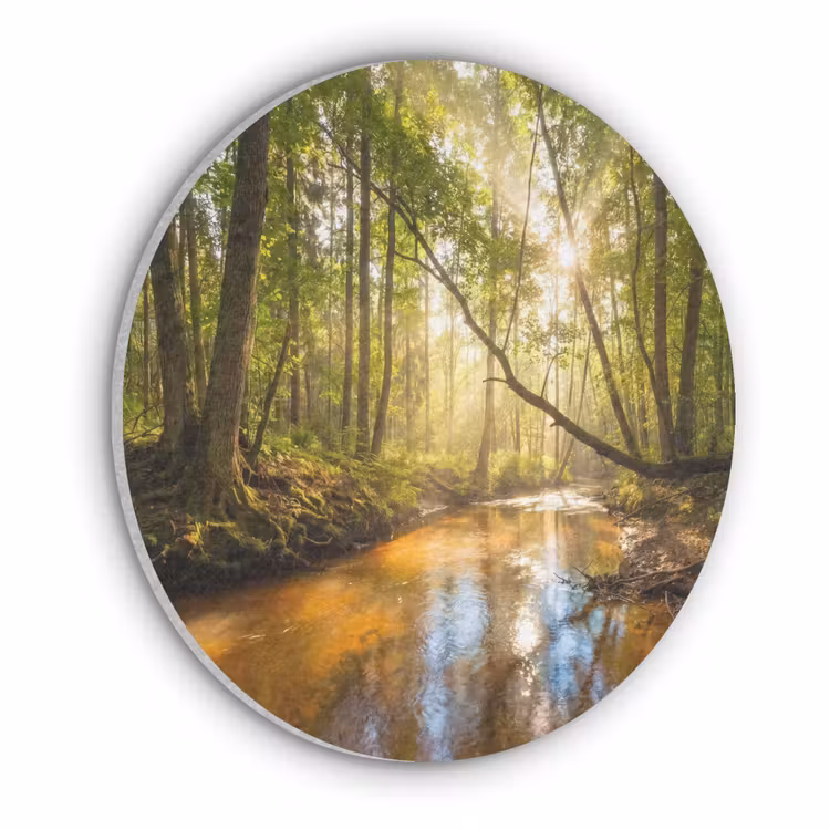 Bos - Beek - Zonlicht - Natuur - Groen Akoestische PET Vilt - Rond klein -3d