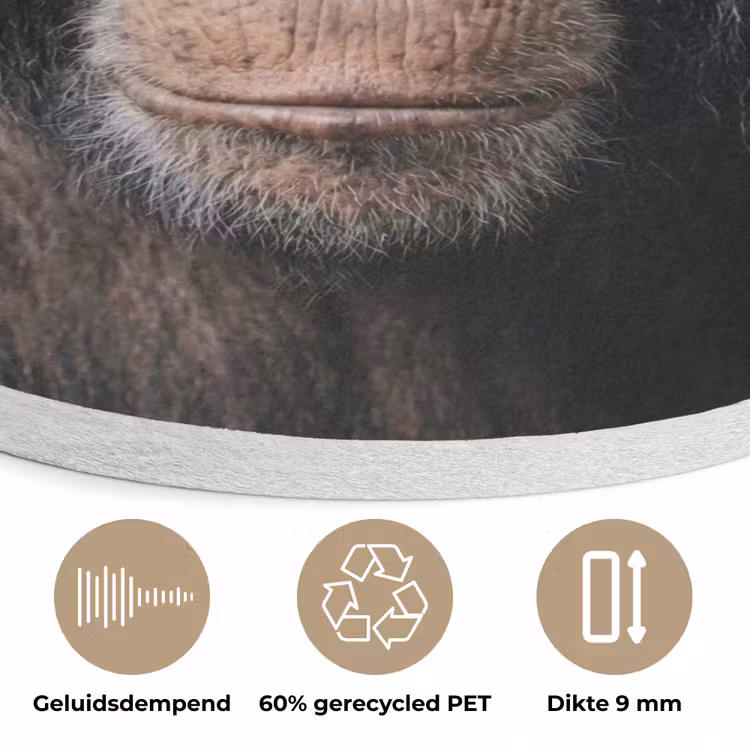 Chimpansee - Badeend - Grijs Akoestische PET Vilt - Rond klein -closeup_NL