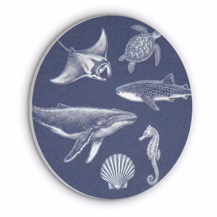Dieren - Zeeleven - Oceaan - Graveren - Blauw Akoestische PET Vilt - Rond klein -3d
