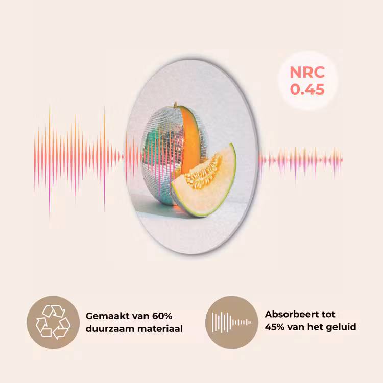 Disco - Discobal - Meloen - Pastel Akoestische PET Vilt - Rond klein -USP_NL
