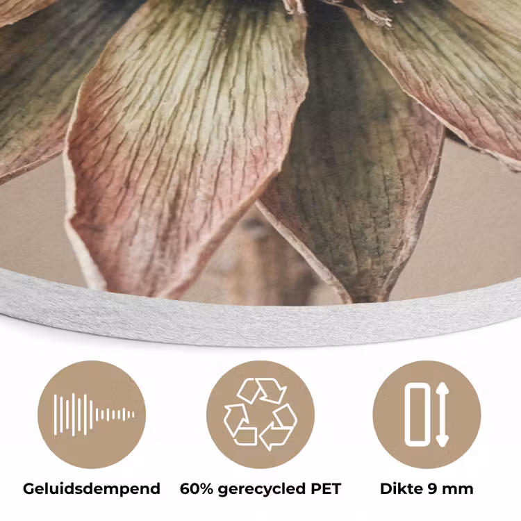 Droogbloem - Protea - Vintage - Beige - Rustiek Akoestische PET Vilt - Rond klein -closeup_NL