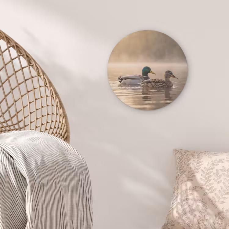 Eenden - Water - Mist - Natuur Akoestische PET Vilt - Rond klein -sfeer4