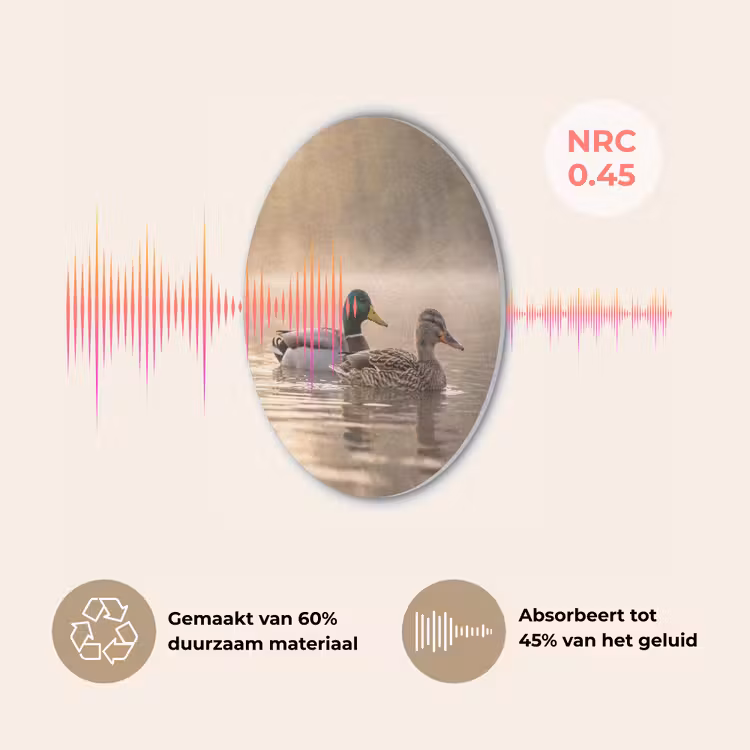 Eenden - Water - Mist - Natuur Akoestische PET Vilt - Rond klein -USP_NL