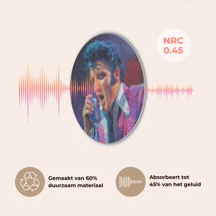 Expressief - Microfoon - Paars Akoestische PET Vilt - Rond klein -USP_NL