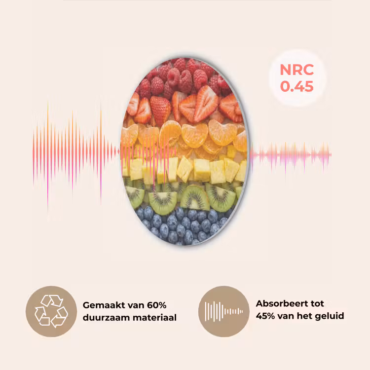 Fruit - Regenboog - Gezond - Kleurrijk Akoestische PET Vilt - Rond klein -USP_NL