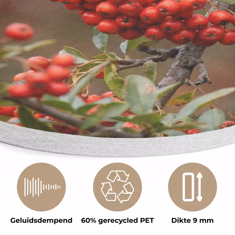 Goudvink - Bessen - Herfst - Natuur - Kleurrijk Akoestische PET Vilt - Rond klein -closeup_NL
