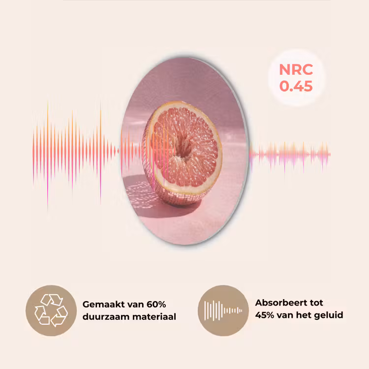 Grapefruit - Roze - Disco - Shiny Akoestische PET Vilt - Rond klein -USP_NL