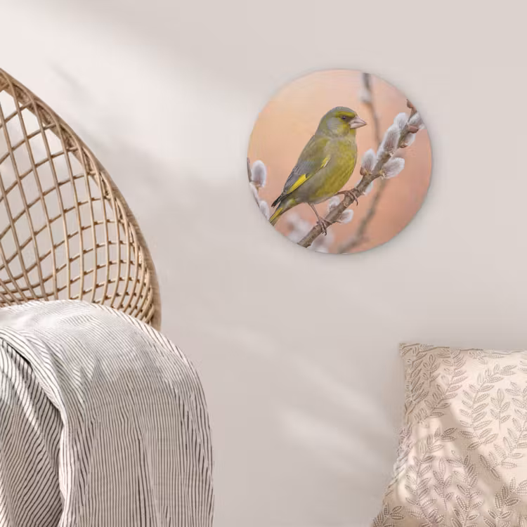 Groenling - Katjes - Lente - Natuur - Zacht Akoestische PET Vilt - Rond klein -sfeer4