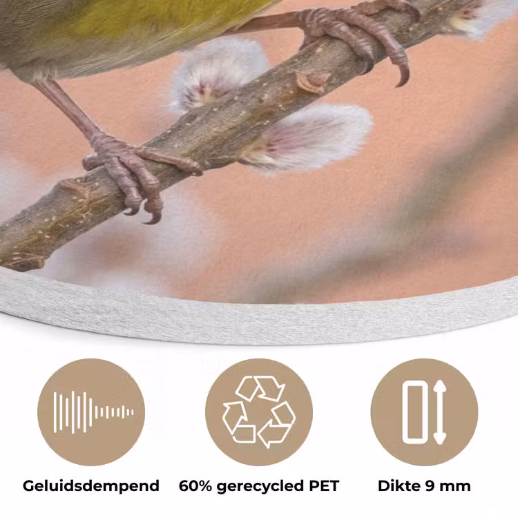 Groenling - Katjes - Lente - Natuur - Zacht Akoestische PET Vilt - Rond klein -closeup_NL