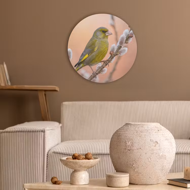 Groenling - Katjes - Lente - Natuur - Zacht Akoestische PET Vilt - Rond klein -sfeer1