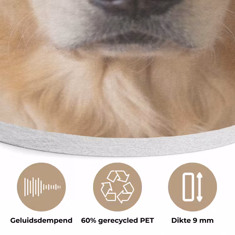 Hond - Badeend - Geel Akoestische PET Vilt - Rond klein -closeup_NL