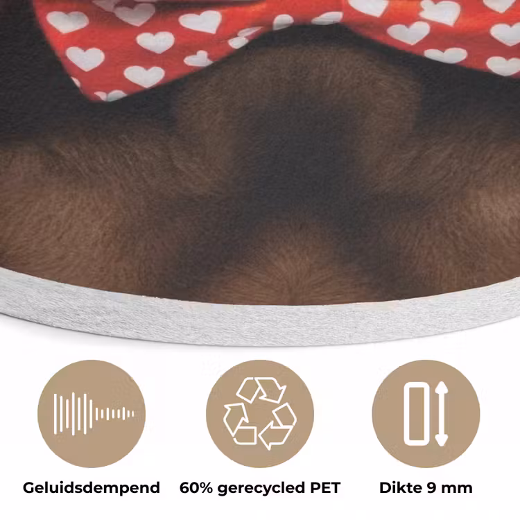 Hond - Oranje - Roos - Valentijn Akoestische PET Vilt - Rond klein -closeup_NL