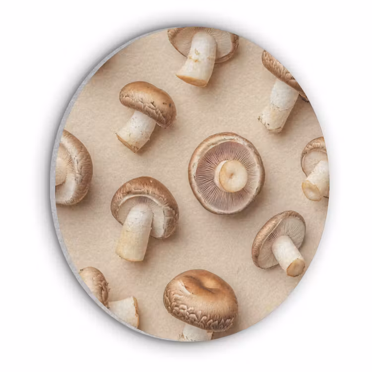 Kastanje Champignons - Beige Akoestische PET Vilt - Rond klein -3d