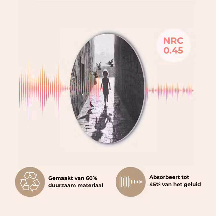 Kind - Vogel - Straat - Zwart-wit - Spelen Akoestische PET Vilt - Rond klein -USP_NL