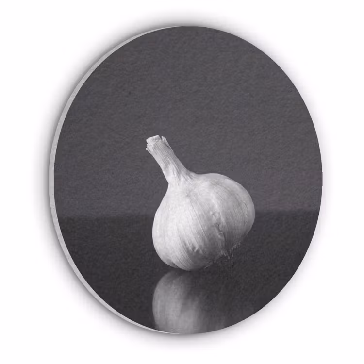 Knoflook - Zwart - Wit Akoestische PET Vilt - Rond klein -3d