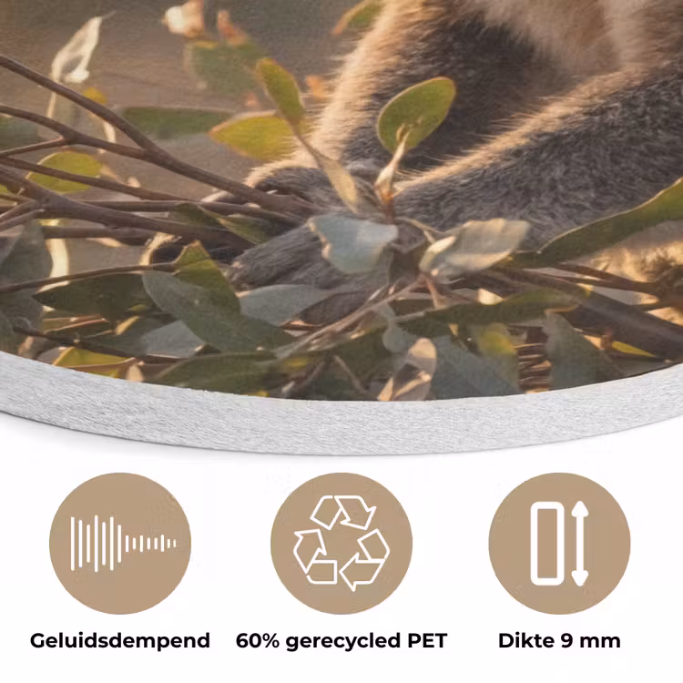 Koala - Bladeren - Ochtendlicht Akoestische PET Vilt - Rond klein -closeup_NL