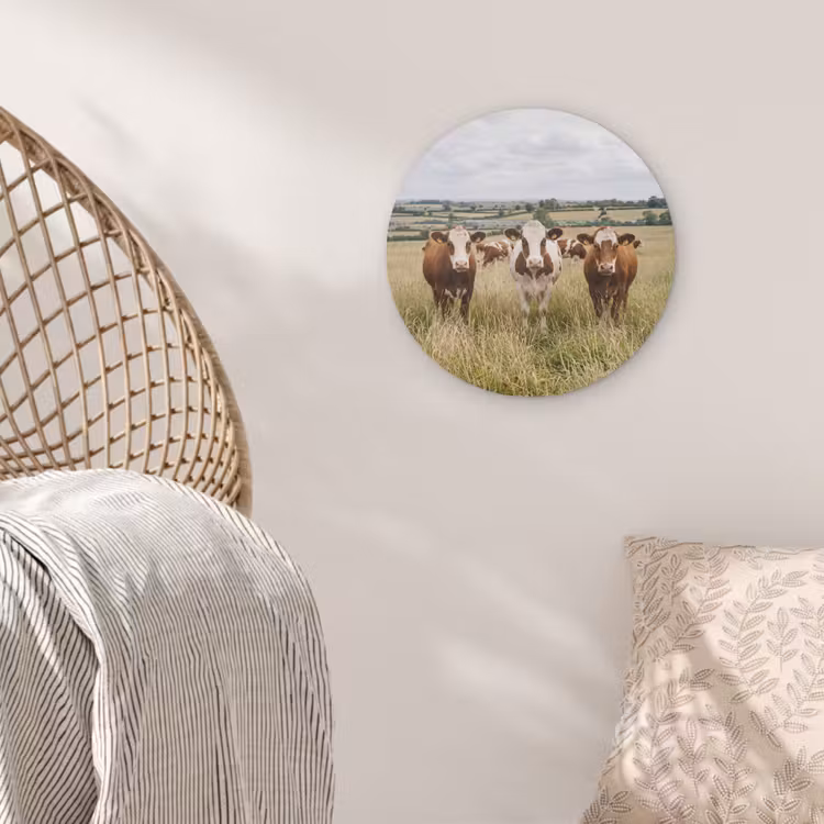 Koeien - Portret - Weide - Boerderij - Nieuwsgierig Akoestische PET Vilt - Rond klein -sfeer4