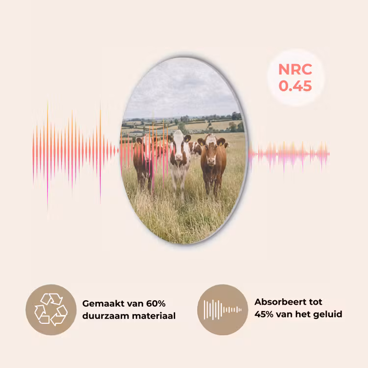 Koeien - Portret - Weide - Boerderij - Nieuwsgierig Akoestische PET Vilt - Rond klein -USP_NL