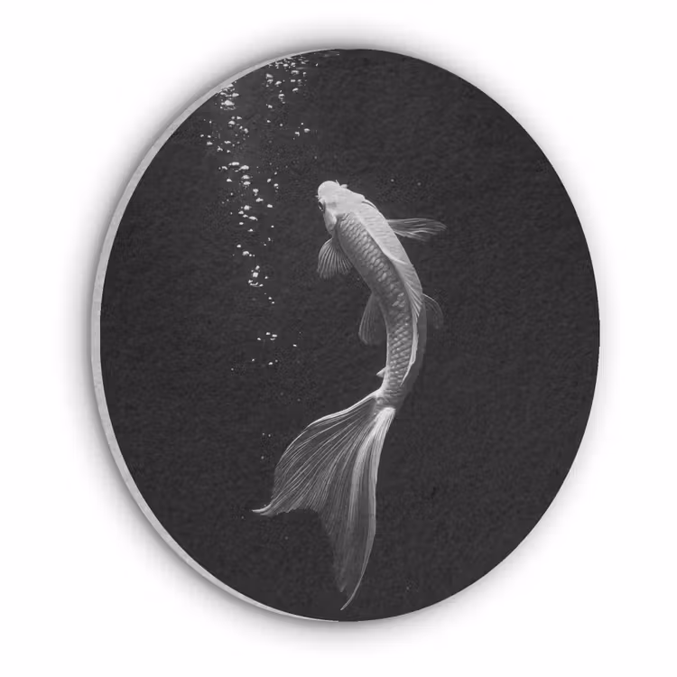 Koi - Vis - Wit - Zwart Akoestische PET Vilt - Rond klein -3d