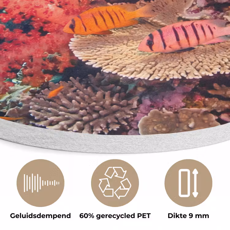 Koraalrif - Vissen - Onderwater - Tropisch - Rood Akoestische PET Vilt - Rond klein -closeup_NL