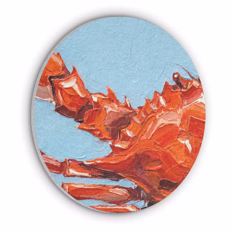 Krab - Zee - Dieren - Abstract - Rood Akoestische PET Vilt - Rond klein -3d