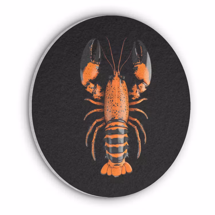Kreeft - Oranje - Zwart - Modern Akoestische PET Vilt - Rond klein -3d