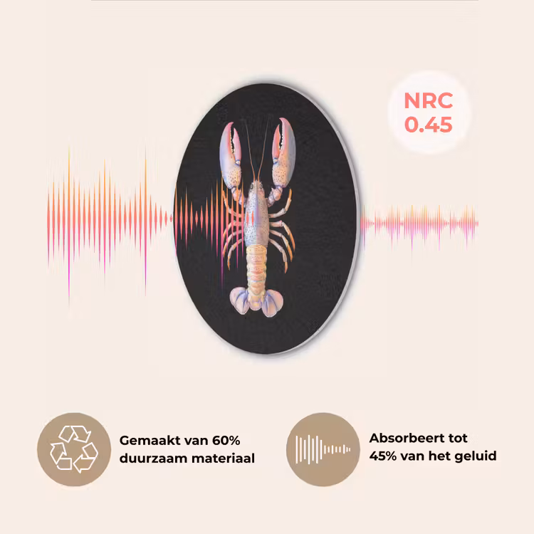 Kreeft - Roze - Zacht - Zwart Akoestische PET Vilt - Rond klein -USP_NL
