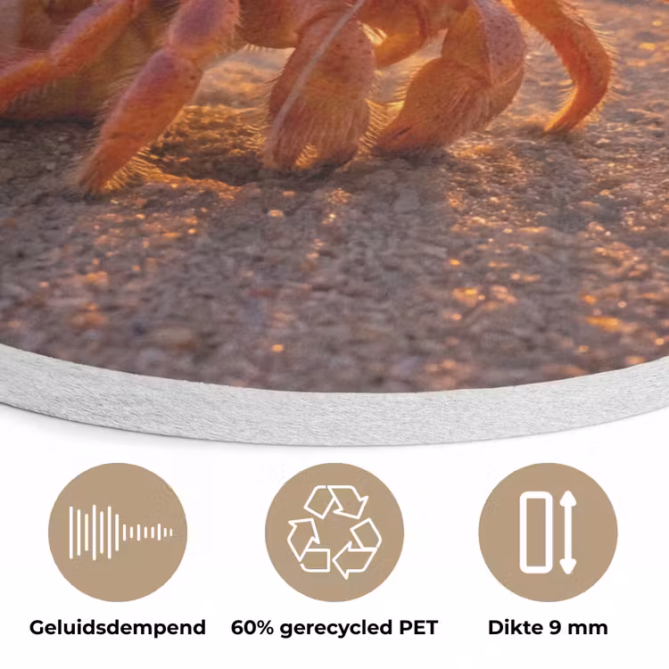 Kreeft - Strand - Natuur - Zonsondergang - Oranje Akoestische PET Vilt - Rond klein -closeup_NL