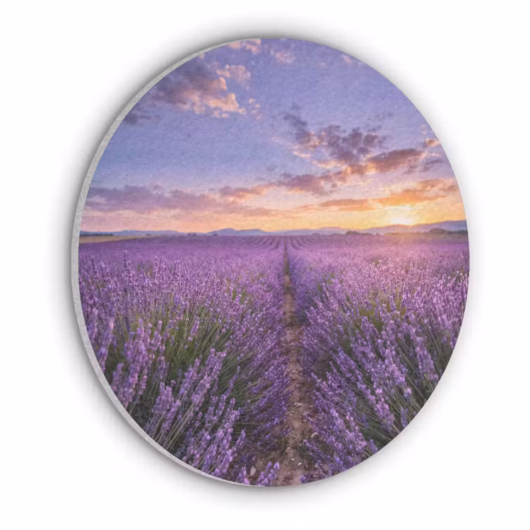 Lavendel - Veld - Natuur - Paars Akoestische PET Vilt - Rond klein -3d