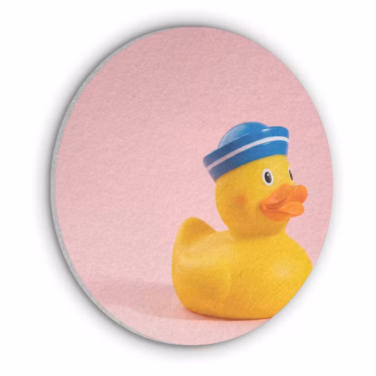 Matroos - Eend - Roze Akoestische PET Vilt - Rond klein -3d