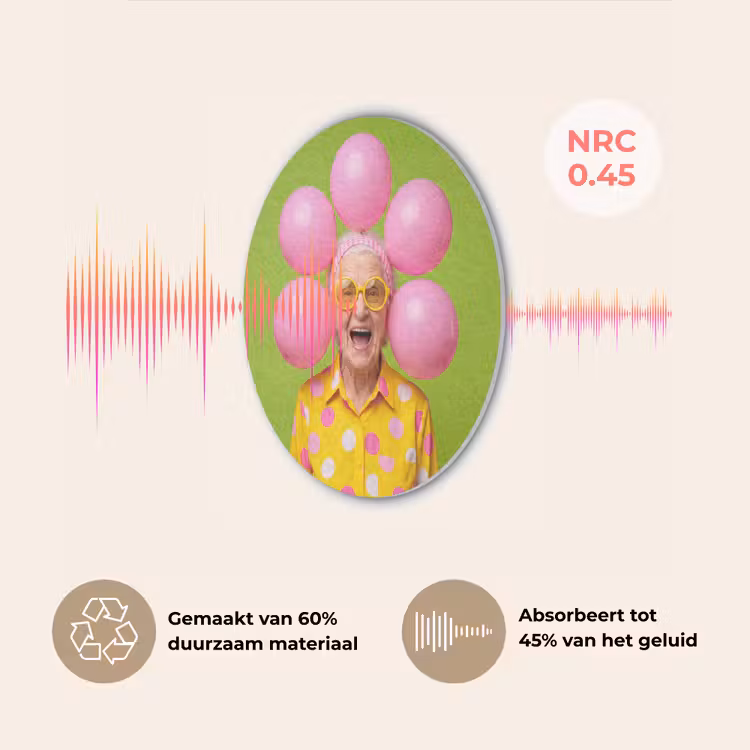 Mens - Ballonnen - Feest - Kleurrijk - Roze Akoestische PET Vilt - Rond klein -USP_NL
